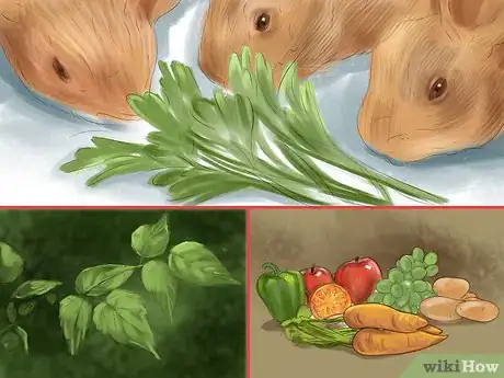 Image titled Prevent Dental Problems in Rabbits Step 4