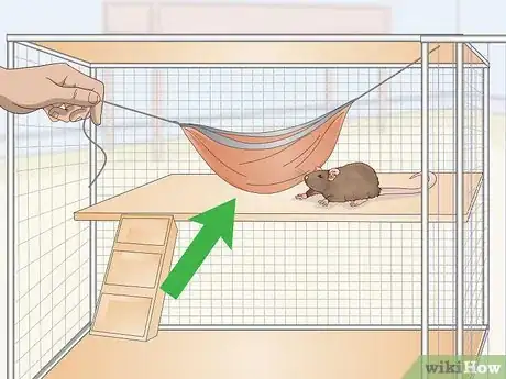 Image titled Provide Hiding Places for a Pet Rat Step 2