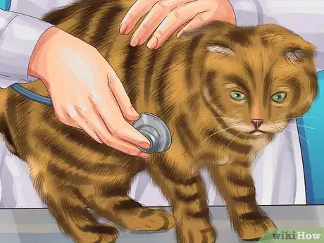 Image titled Choose a Heartworm Preventative for Your Cat Step 3