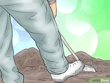 Image titled Plant a Tulip Poplar Tree Step 8