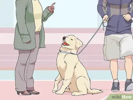 Image titled Bond with a Needy Dog Step 7