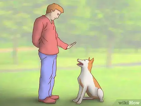 Image titled Get Your Dog Into a Commercial Step 2