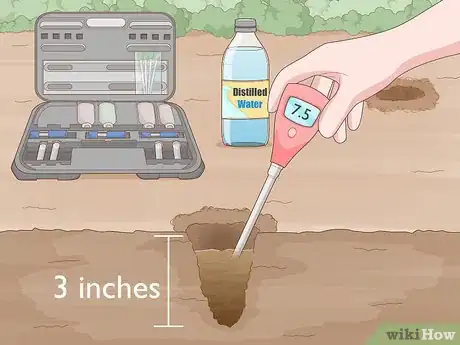 Image titled Start a Tree Farm Step 10