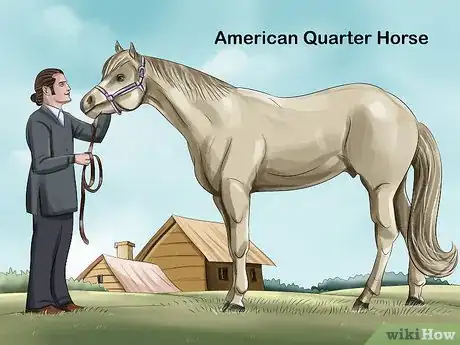 Image titled Choose the Right Breed of Horse for You Step 6