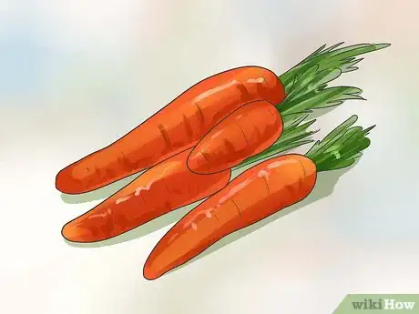 Image titled Care for English Springer Spaniels Step 2