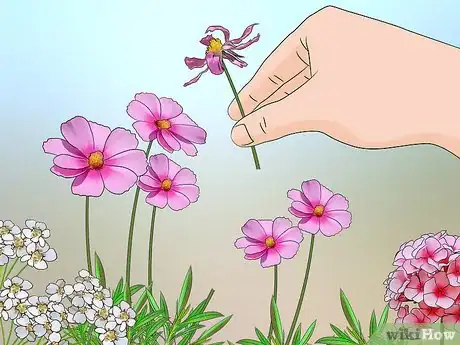 Image titled Grow Wildflowers Step 17