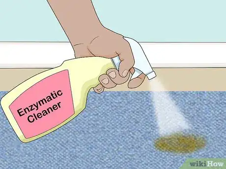Image titled Remove Pet Stains Step 4