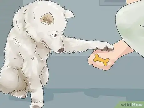 Image titled Give Your Dog a Treat Step 2