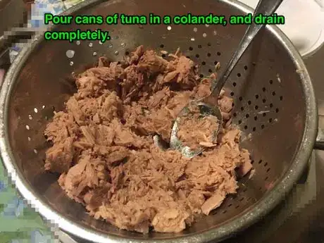 Image titled Tuna in colader