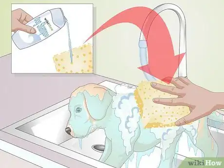 Image titled Shower a Puppy Step 9