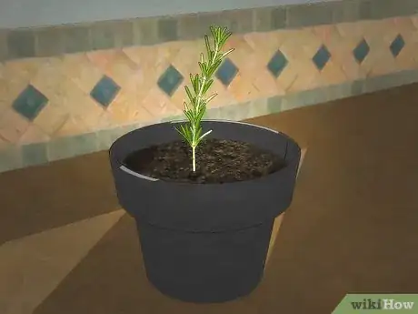 Image titled Grow an Indoor Herb Garden Step 22