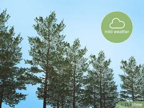 Image titled Reduce Bee Poisoning from Pesticides Step 16