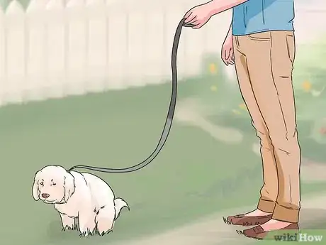 Image titled House Train Your Dog in Less than a Week Step 5