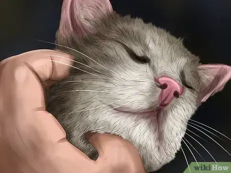 Image titled Understand Your Cat's Behavior Step 2