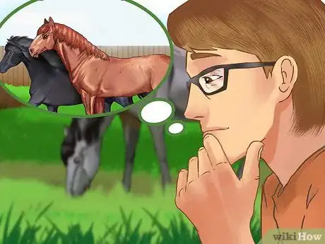 Image titled Buy a Trail Horse Step 2