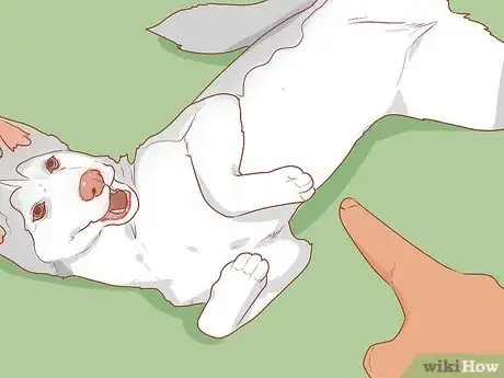 Image titled Train a Rescue Dog Step 9