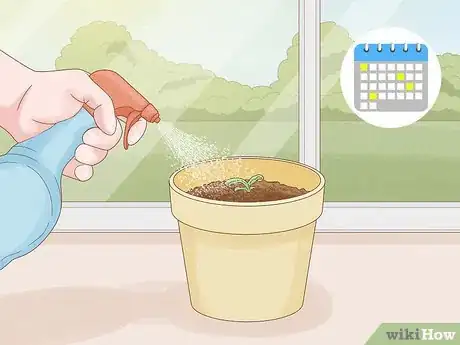 Image titled Grow Orchids from Seeds Step 16