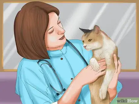 Image titled Care for Your Cat Step 1