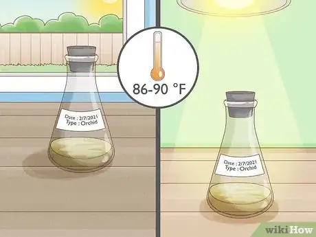 Image titled Grow Orchids from Seeds Step 13