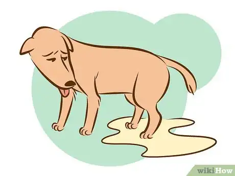 Image titled Recognize a Dying Dog Step 4