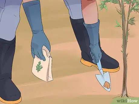 Image titled Plant Cedar Trees Step 18