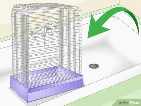 Image titled Clean a Cockatoo Cage Step 7