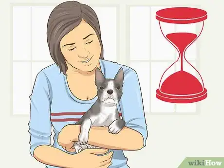 Image titled Help a Dog Adjust to Your Household Routine Step 10