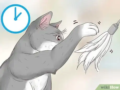 Image titled Prevent a Diabetic Emergency in Cats Step 5