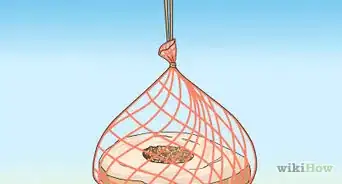 Make Bird Seed Ornaments