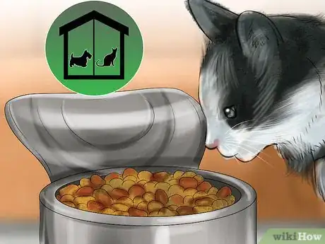 Image titled Diagnose and Treat Feline Toxoplasmosis Step 9