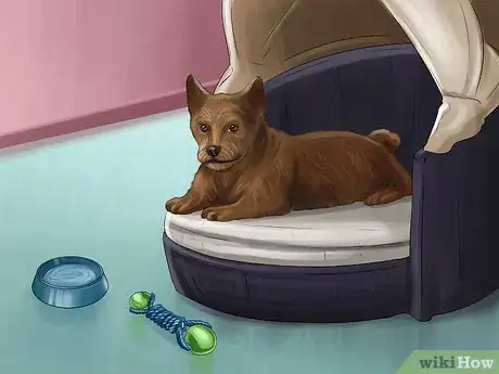 Image titled Help an Abused Dog Step 9