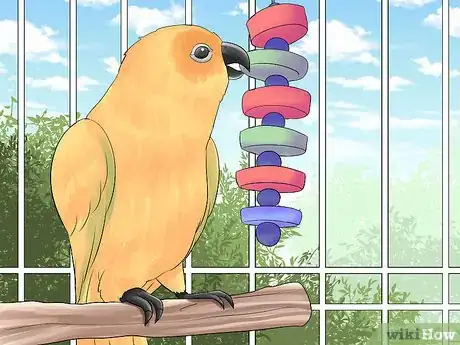 Image titled Keep a Conure Groomed Step 9