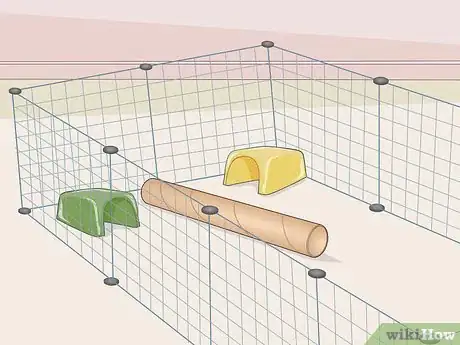 Image titled Help Two Guinea Pigs Get Along Step 2