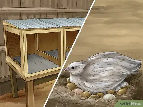 Image titled Sell Quail Step 21