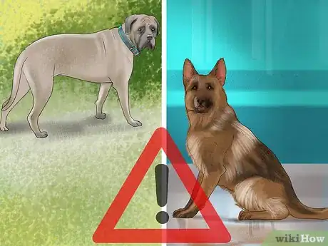 Image titled Bring Up a Loyal Dog Step 4