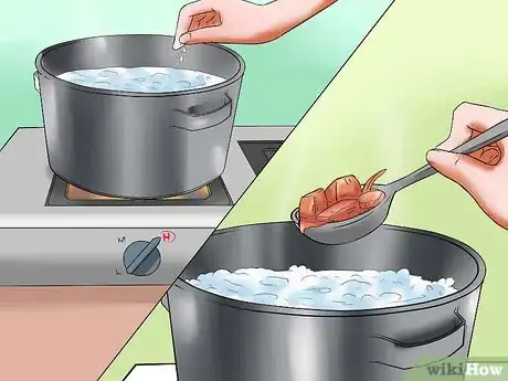 Image titled Can Squash Step 21