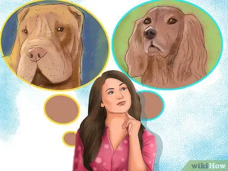 Image titled Bring Up a Loyal Dog Step 3