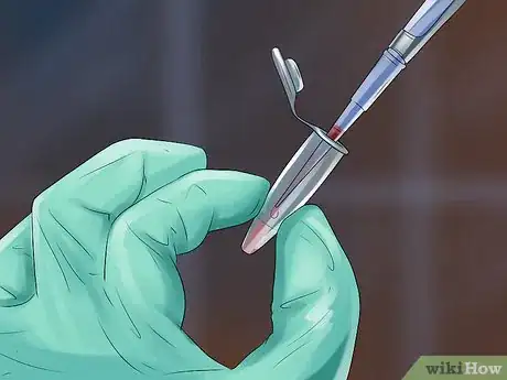 Image titled Know if Your Female Dog Is Ready to Breed Step 7