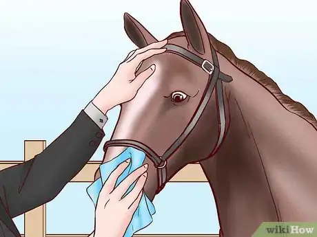 Image titled Compete in an English Pleasure Class Step 12