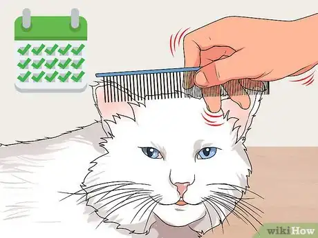 Image titled Raise Angora Cats Step 16