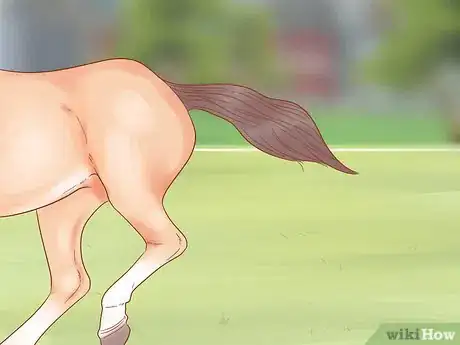 Image titled Get a Horse Under Control Step 9