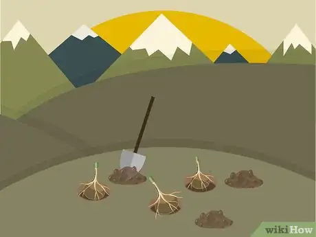 Image titled Prune Dahlias Step 13