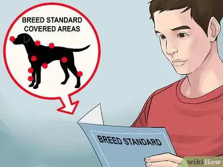 Image titled Check Breed Standards Before Breeding Dogs Step 4
