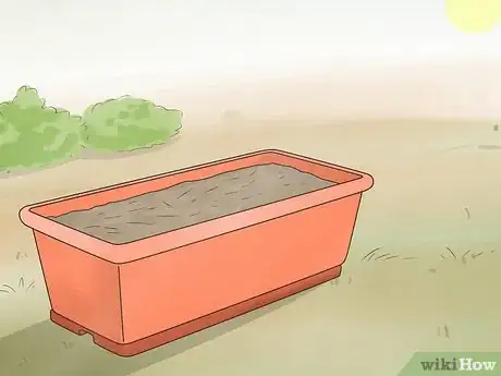 Image titled Grow Carrots in Pots Step 10