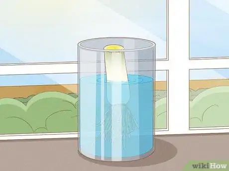 Image titled Grow Leeks from Leeks Step 3