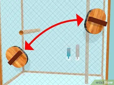 Image titled Keep a Cockatiel Healthy Step 5