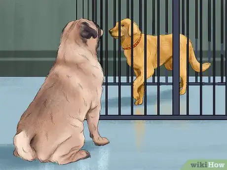 Image titled Make Your Dog Get Along With Other Dogs Step 16