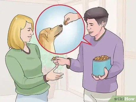 Image titled Introduce Your New Dog to the Neighbors Step 4