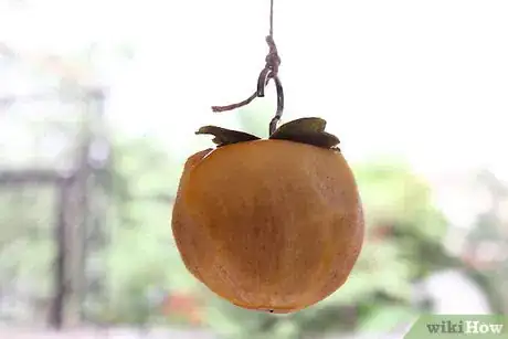 Image titled Dry Persimmon Step 13