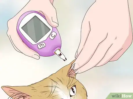 Image titled Prevent a Diabetic Emergency in Cats Step 2